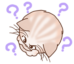 Cute cats and Kittens, like animation! sticker #4158801