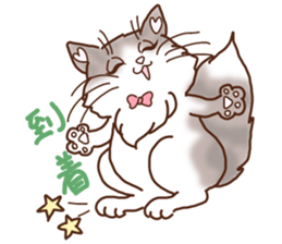 Cute cats and Kittens, like animation! sticker #4158807