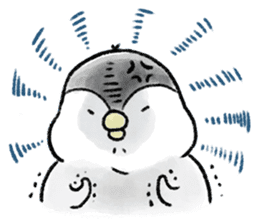PochaPeng- A Chubby Little Penguin sticker #4159951
