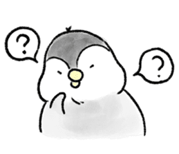 PochaPeng- A Chubby Little Penguin sticker #4159955