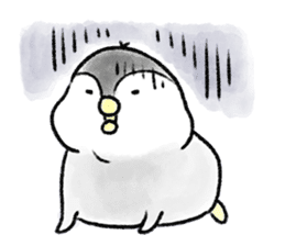 PochaPeng- A Chubby Little Penguin sticker #4159973