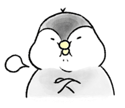 PochaPeng- A Chubby Little Penguin sticker #4159974