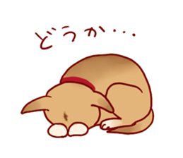 Suntamp sticker #4162335