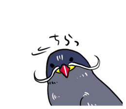 Inca Tern of a white mustache sticker #4164779