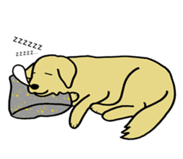 GOLDEN DOG(English ver.) sticker #4169171