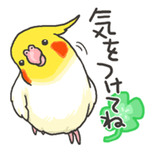 Happy days together with MARU 4 sticker #4171241