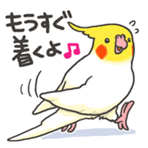 Happy days together with MARU 4 sticker #4171247