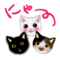 Cute cats and Kittens
