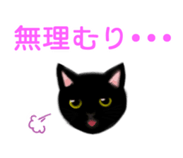 Cute cats and Kittens sticker #4171894