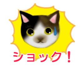 Cute cats and Kittens sticker #4171909