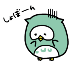 Funny owl sticker #4172447