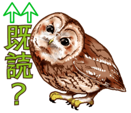 owl owl owl! sticker #4175002
