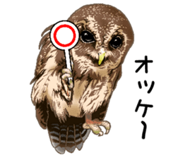 owl owl owl! sticker #4175003