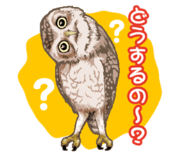 owl owl owl! sticker #4175004