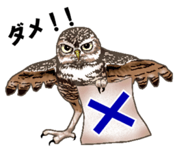 owl owl owl! sticker #4175005