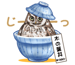 owl owl owl! sticker #4175006