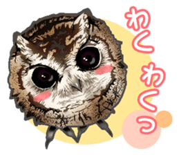 owl owl owl! sticker #4175007