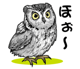 owl owl owl! sticker #4175008
