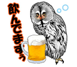 owl owl owl! sticker #4175010