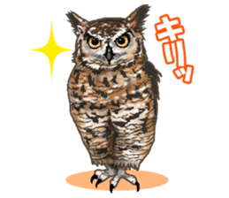 owl owl owl! sticker #4175011