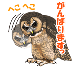 owl owl owl! sticker #4175013