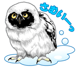 owl owl owl! sticker #4175017