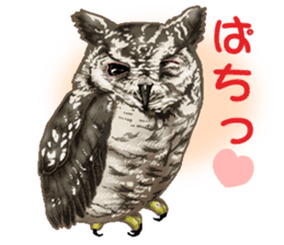 owl owl owl! sticker #4175020