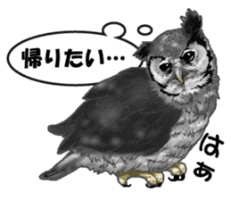 owl owl owl! sticker #4175023