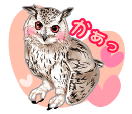 owl owl owl! sticker #4175024