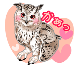 owl owl owl! sticker #4175024