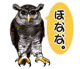 owl owl owl! sticker #4175025
