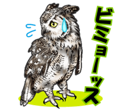 owl owl owl! sticker #4175027