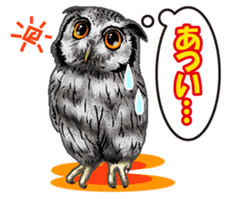 owl owl owl! sticker #4175030