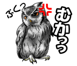 owl owl owl! sticker #4175031