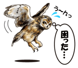 owl owl owl! sticker #4175032