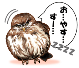 owl owl owl! sticker #4175033