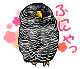 owl owl owl! sticker #4175035