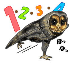 owl owl owl! sticker #4175036