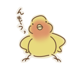 Loose parakeet sticker #4178554