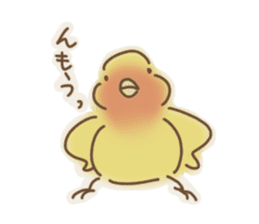 Loose parakeet sticker #4178554