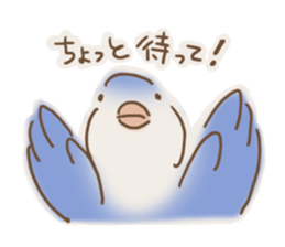 Loose parakeet sticker #4178557