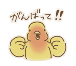 Loose parakeet sticker #4178577