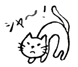 I am a cat. There is still no name sticker #4179551