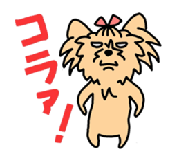 yorkie mozuranger sticker #4183197