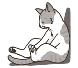 A Cat! A Cat! A Cat! sticker #4184577