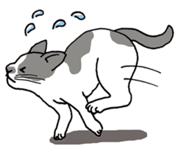 A Cat! A Cat! A Cat! sticker #4184586