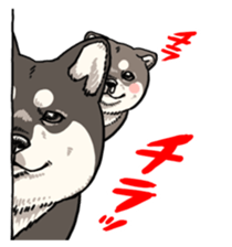KURO-SHIBA!! sticker #4187121