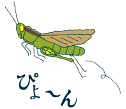 insect's everyday sticker #4188606