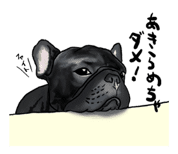frenchbulldog's TOYkun3 sticker #4188696