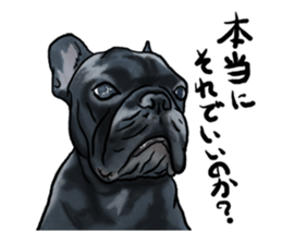 frenchbulldog's TOYkun3 sticker #4188698